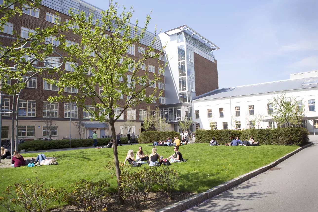 Students sitting in the grass outdoors in the sun on Campus Helsingborg's courtyard. Photo.